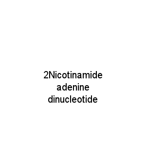 2Nicotinamide adenine dinucleotide